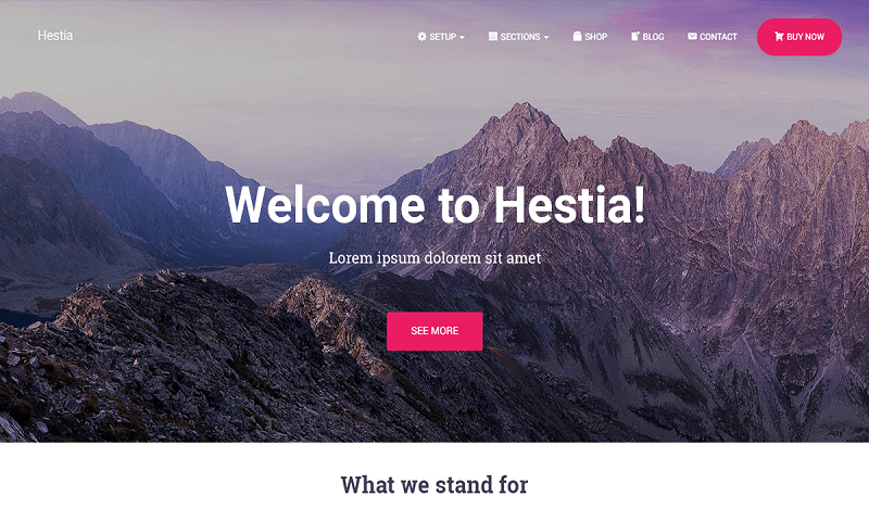 Theme WordPress chuẩn SEO Hestia theme