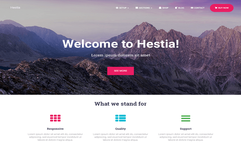 Themes wordpress đẹp và ấn tượng: Hestia